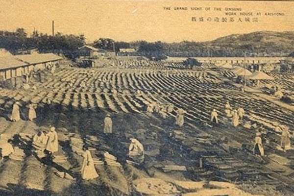 세대를 이어온 뿌리
